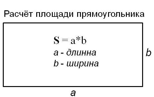 Иллюстрация к книге «Тишина31»
